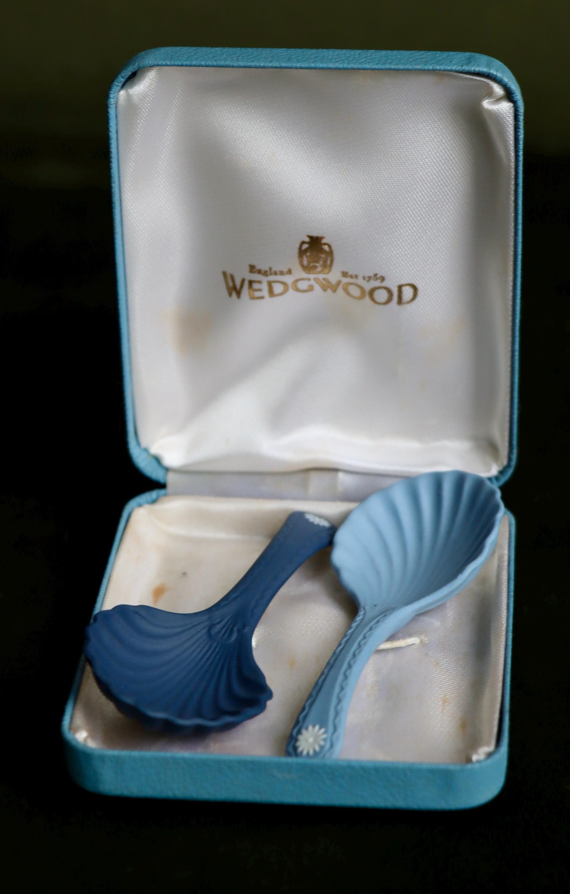 Wedgwood Jasperware Spoon - Etsy