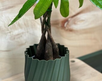 Minimalist 3D Printed Cachepot — PLA Decorative Outer Pot for Indoor Plants, Modern Plant Lovers Gift