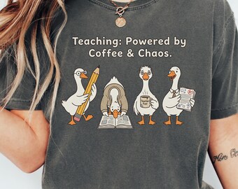 Shirt grappige leraar, grappige leraar png, humor cadeau voor leraar, leraar png, shirt leraar humor, cadeau voor leraar, digitale download