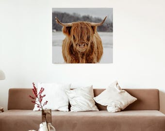 Highland Cow Canvas Print, Rustic Farmhouse Wall Art