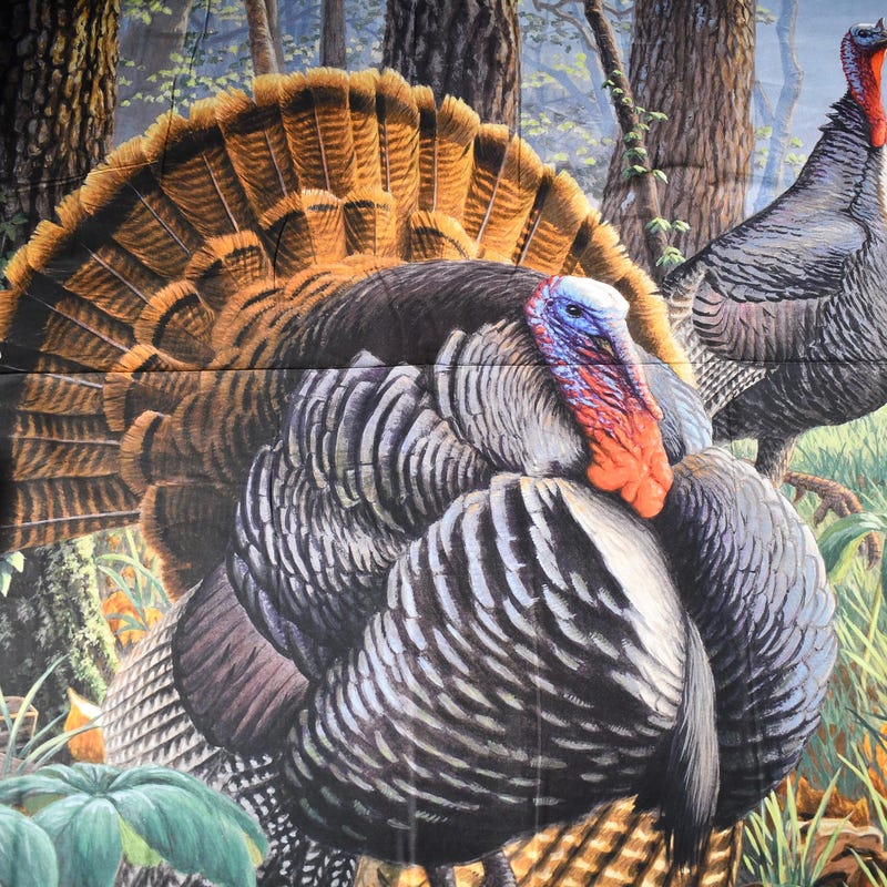 Turkey Fabric - Etsy