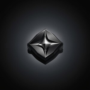 Puede incluir: Un objeto metálico gris oscuro con un centro en forma de estrella. El diseño es simétrico y tridimensional, con bordes curvos y un acabado pulido. El centro es de color plateado brillante, contrastando con el material exterior más oscuro.
