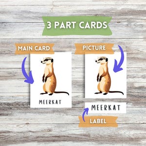 32 Safari Animals Flashcards, Montessori Flashcards, Printable Animal Cards, Wild Animal Flashcards, Zoo Animals Flashcards, Matching Game