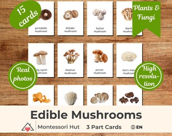 15 Edible Mushrooms Montessori 3 Part Cards|Nomenclature Cards|PDF Educational Flashcards Preschool Homeschool, Classroom Learning Resources