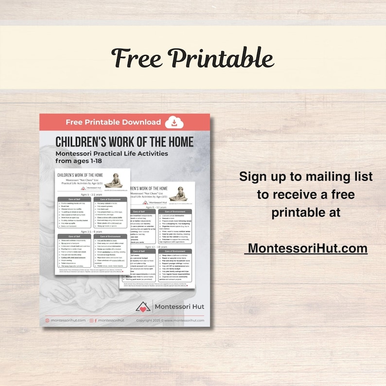 15 Dinosaurs - Montessori 3 Part Cards • Flash Cards Three Part Cards ...