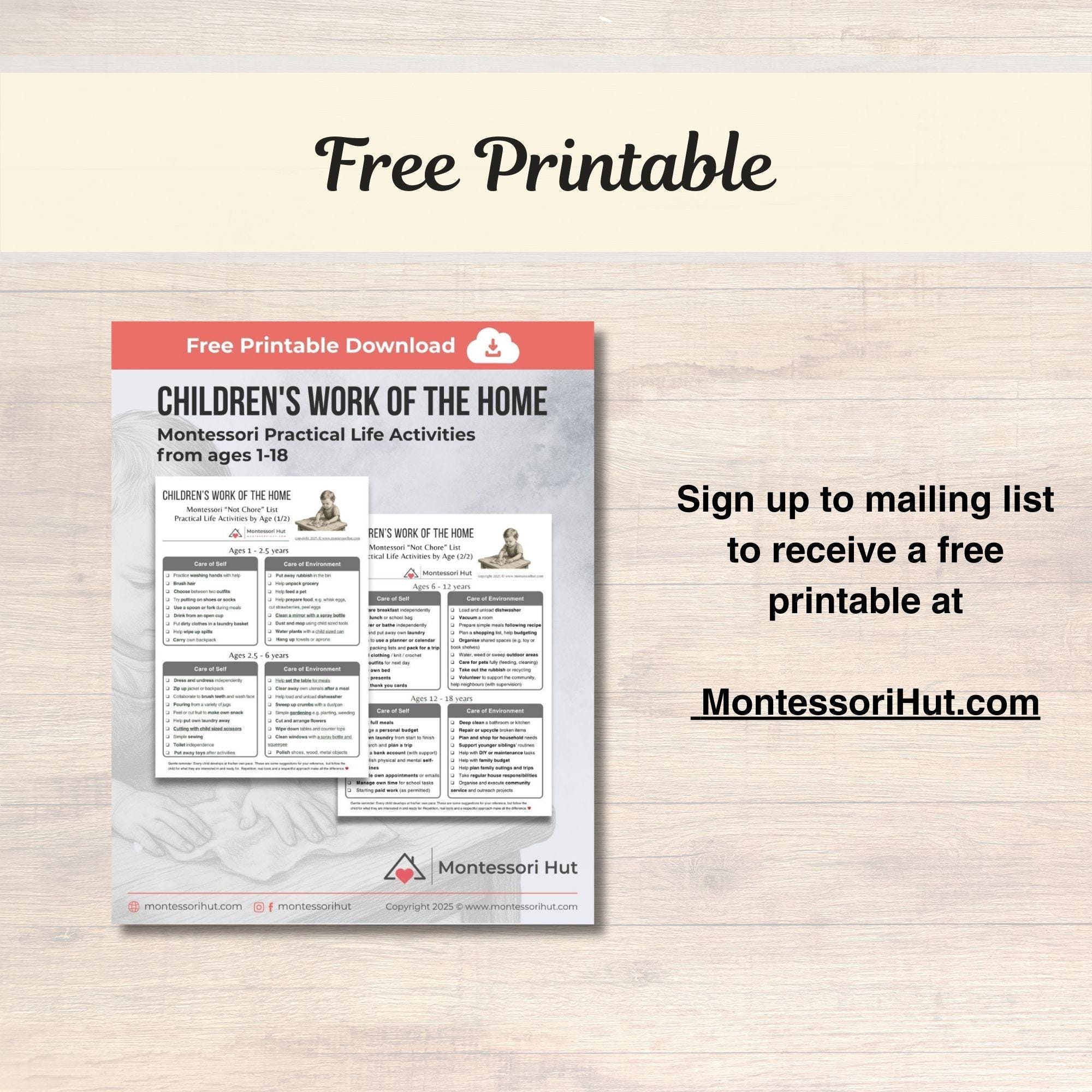 15 Dinosaurs - Montessori 3 Part Cards • Flash Cards Three Part Cards ...
