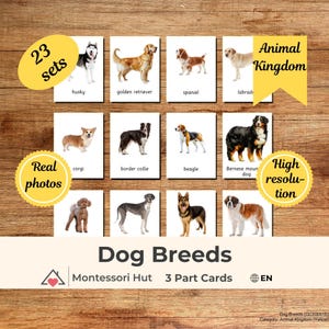 23 razas de perros comunes - Tarjetas Montessori de 3 partes • Tarjetas didácticas, tarjetas de nomenclatura, tarjetas de tres partes • Material educativo imprimible para educación en casa