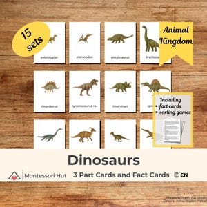 15 Dinosaurs - Montessori 3 Part Cards • Flash Cards Three Part Cards Nomenclature Cards • Educational Material Printable Homeschool