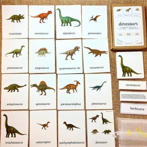Dinozaury Montessori 3-częściowa karta z kartami faktów do czytania i dopasowywania nomenklatury edukacyjnej języka fiszki do klasy domowej