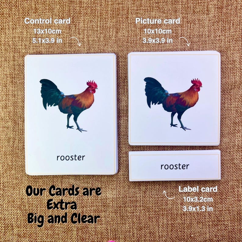11 Farm Animals Montessori 3 Part Cards With Matching Miniature Figures ...