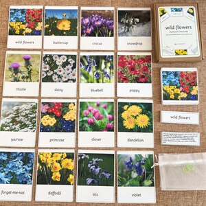 Wilde bloem Montessori echte foto 3-delige kaart met informatiekaarten om te lezen en matchen Taalonderwijs Nomenclatuur Flashcard Homeschool