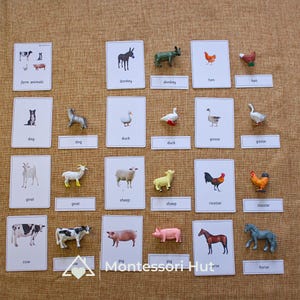 May include: A set of educational farm animal cards and matching plastic figurines. The collection includes miniature models of a donkey, hen, dog, duck, goose, goat, sheep, rooster, pig, and horse, each paired with a corresponding labelled card.