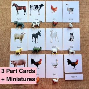 11 Cartões Montessori de 3 Partes com Animais da Fazenda e Figuras em Miniatura - Atividade Educacional Montessori para Casa, Sala de Aula e Ensino Domiciliar