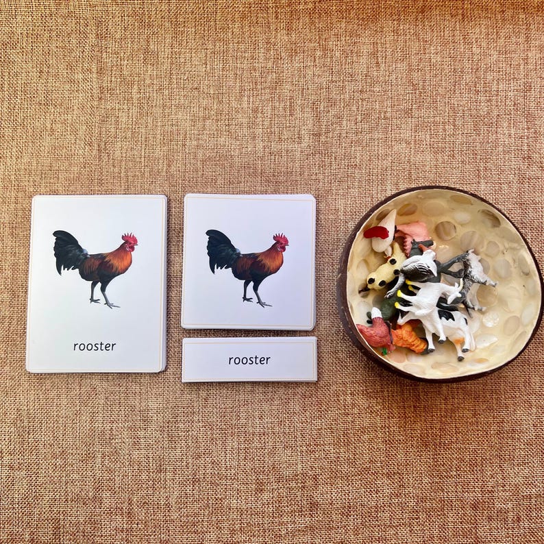 11 Farm Animals Montessori 3 Part Cards With Matching Miniature Figures ...