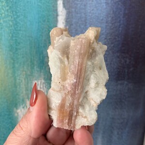 Tourmaline in matrix / pink tourmaline in matrix