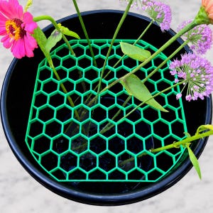 May include: A bright green plastic honeycomb grid insert placed inside a black cylindrical bucket. The grid features a hexagonal pattern designed to hold flower stems upright. Several stems with pink zinnia and purple allium flowers are inserted.