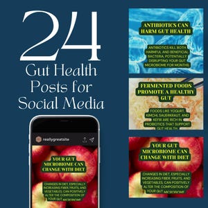 May include: A graphic with the text "24 Gut Health Posts for Social Media" in white text on a blue background.  There are four images of social media posts with text about gut health.  The first image has the text "Antibiotics Can Harm Gut Health" in green text on a blue background.  The second image has the text "Fermented Foods Promote a Healthy Gut" in green text on a yellow background.  The third image has the text "Your Gut Microbiome Can Change With Diet" in green text on a red background.  The fourth image has the text "Your Gut Microbiome Can Change With Diet" in green text on a red background.