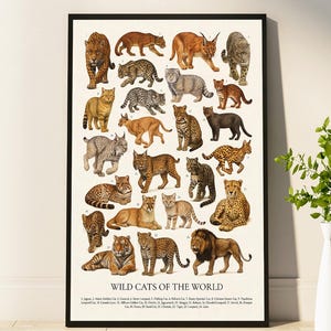 May include: A framed educational poster titled WILD CATS OF THE WORLD featuring twenty-four numbered illustrations of various wild cat species in natural colors, including a tiger, lion, leopard, and cheetah, set against a cream background.