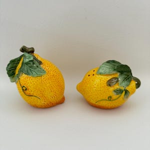 Elegant Lemon Ceramic Salt and Pepper Shakers New