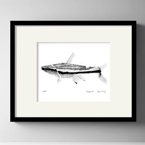 Original, NOT A PRINT -Pencil Fish, Hand Painting Pencil Artwork, Drawing Vintage Fish Illustration, One of a Kind Wall Art