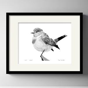 Original, NOT A PRINT - Taiga Flycatcher, Hand Painting Pencil Artwork, Drawing Vintage Bird Illustration, One of a Kind Wall Art