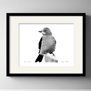 Original, NOT A PRINT -  Brazilian Tanager, Hand Painting Pencil Artwork, Drawing Vintage Bird Illustration, One of a Kind Wall Art