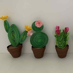 Kit fai da te per la creazione di cactus in 3D con quilling