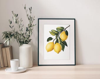 Printable Botanical Lemons Art Download for Home Decor