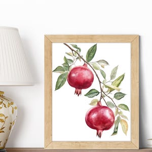 Nature-Inspired Pomegranate Botanical Watercolor Art for Your Home