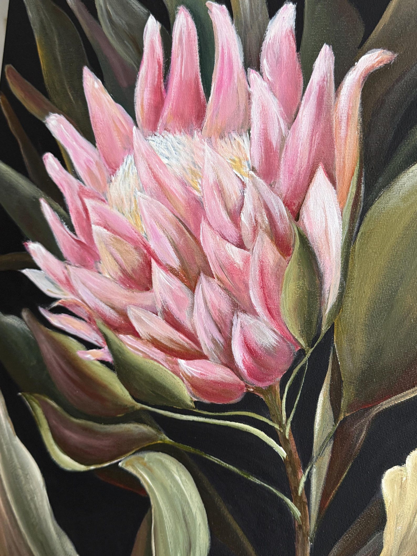 protea-flower-painting-acrylic-painting-wall-art-exotic-flower-painting