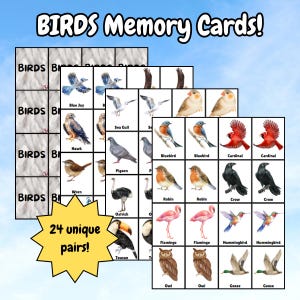 Bird Themed Memory Matching Cards | Set of 48 (24 Pairs) Printable Game for Kids