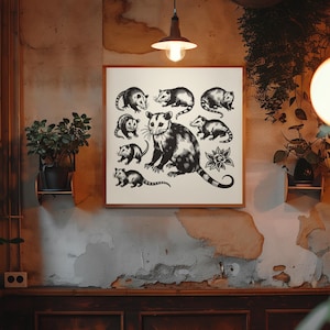 Opossum Flash Print Wall Art