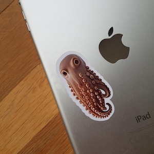 Curious Octopus sticker - funny squid with big eyes - sticker for laptop | scrapbooks | notebook | water bottle | journal