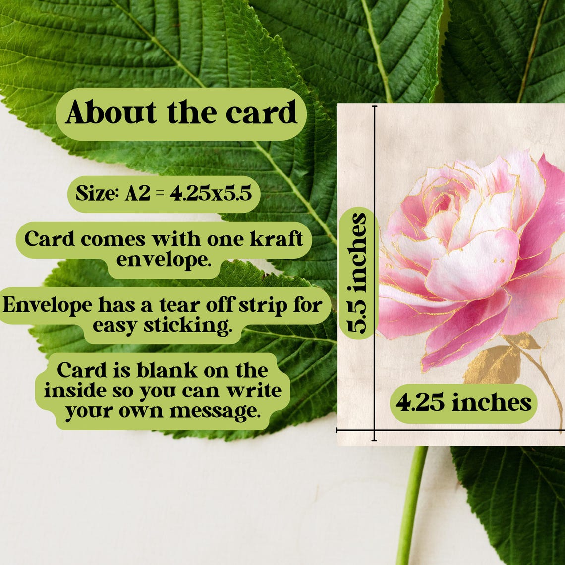 Rustic Roses Cardstock Vintage Pink and Gold Rose Greeting Card: Vintage Rustic Floral Note ...