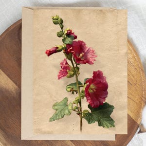 May include: A rectangular greeting card featuring a botanical illustration of a tall hollyhock stalk with deep magenta flowers, green leaves, and unopened buds printed on a textured, light tan, vintage-style paper background.