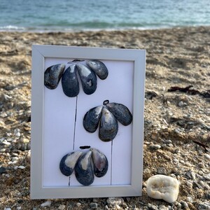 May include: A framed artwork featuring three blue mussel shells arranged to look like flowers. The artwork is on a white background and is sitting on a beach.