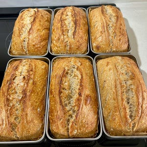 2 loaves of Organic Authentic Sandwich Sourdough Bread, Whole Grain, Artisan Sourdough Bread, Organic Bread, Sourdough Bread, Levain Bread