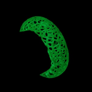 May include: A crescent moon-shaped object featuring a glowing neon green color and a complex, interconnected lattice structure. The design consists of numerous small, irregular openings throughout the surface, creating a web-like appearance against a black background.