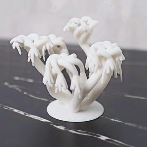 Op de afbeelding: Een witte, abstracte sculptuur die lijkt op een cluster van koraal of een gestileerde plant. Het stuk heeft meerdere vertakte stelen met handachtige aanhangsels, allemaal rustend op een cirkelvormige basis. De sculptuur staat op een donker, gemarmerd oppervlak.