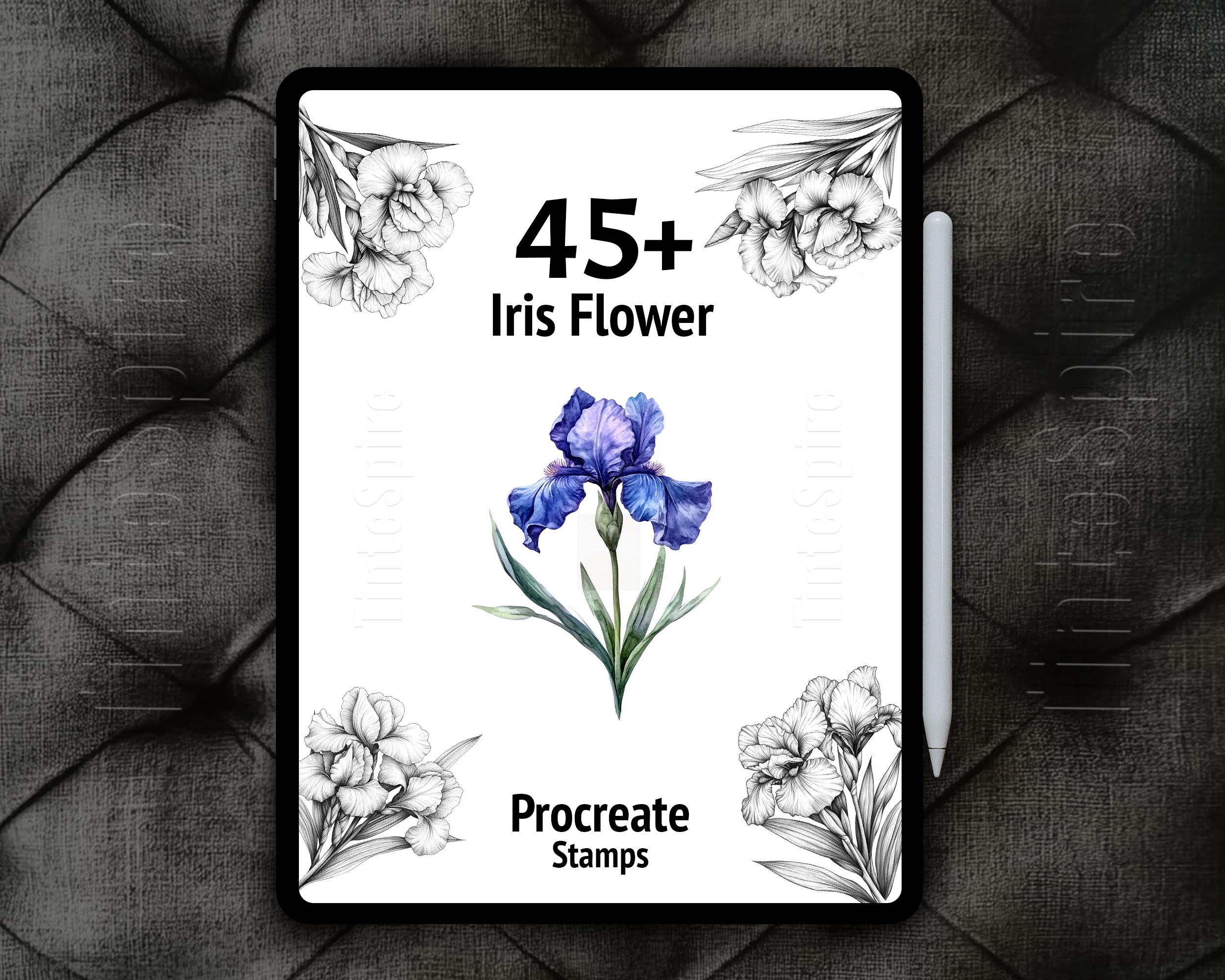 45+ Procreate Iris Flower Bundle | Iris Flowers Brushes | Floral ...