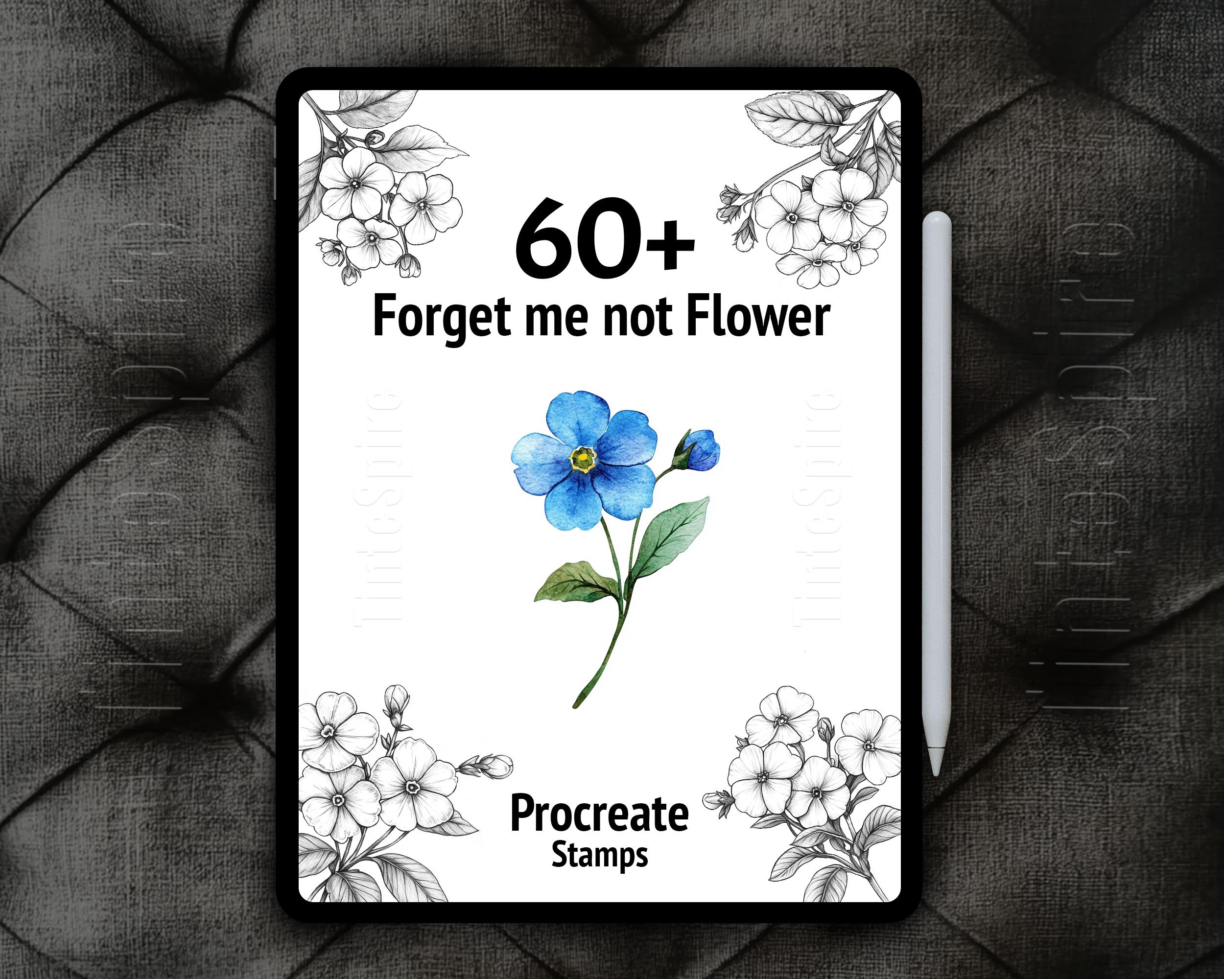 60+ Sellos de Procreate Flor de Nomeolvides | Pack de pinceles florales para stickers, impresiones e ilustraciones