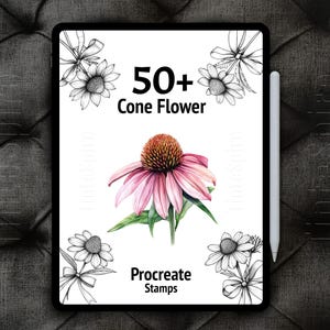 Op de afbeelding: Een digitale illustratie van een roze kegelbloem met groene bladeren. De afbeelding is op een witte achtergrond met de tekst "50+ Cone Flower Procreate Stamps" in zwart.