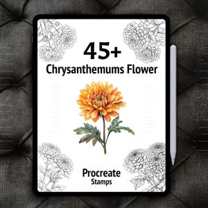 45+ Procreate Chrysanthemums Flower Bundle | Chrysanthemums Flower Brushes | Floral Procreate Stamps for Digital Art | Botanical Procreate