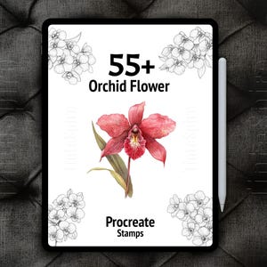55+ Procreate Orchid Flower Stamps Bundle | Orchid Flowers procreate stamp brushes | Floral Procreate | Botanical Procreate
