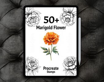 50+ Procreate Marigold Flower Bundle | Marigold Flowers Brushes | Floral Procreate Stamps for Digital Art | Botanical Procreate |Nature