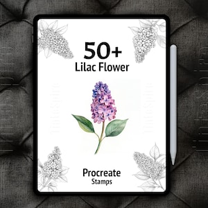 Puede incluir: Una ilustración digital de una flor de lila sobre un fondo blanco. El texto "50+ Lilac Flower Procreate Stamps" se muestra en la imagen.