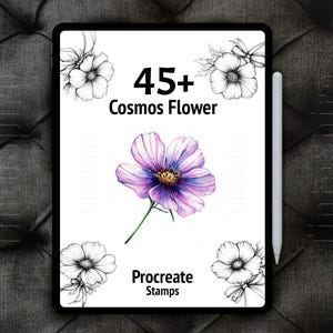May include: A digital illustration of 45+ cosmos flower stamps for Procreate. The image shows a purple cosmos flower with a white centre and green stem. The text "45+ Cosmos Flower" and "Procreate Stamps" is also visible.