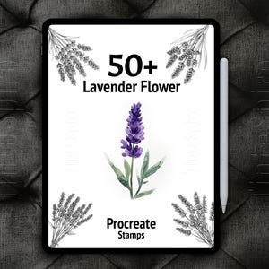 50+ Procreate Lavender Flower Stamps Bundle| Lavender Flowers procreate stamp brushes | Floral Procreate | Botanical Procreate