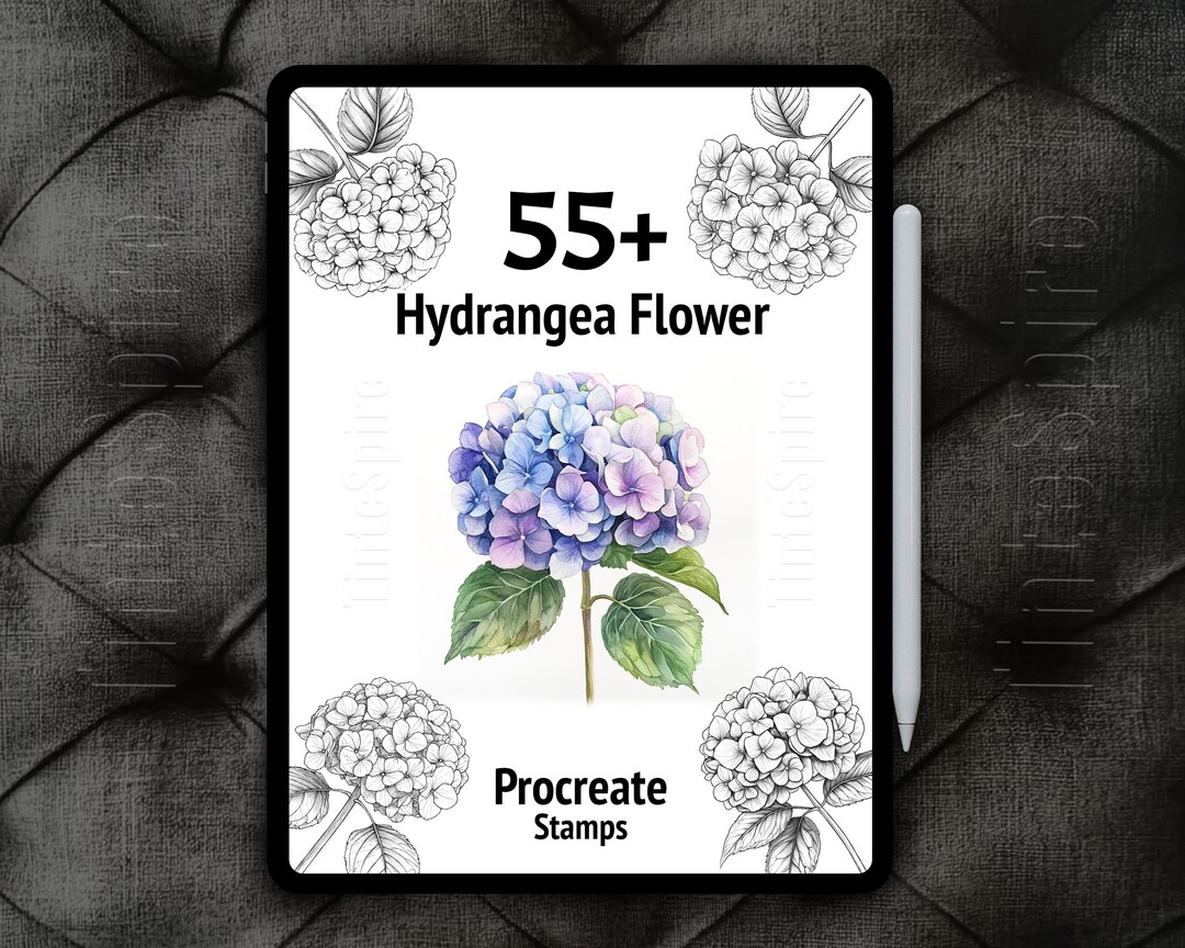 55+ Procreate Hydrangea Flower Stamps Bundle | Hydrangea Flowers ...