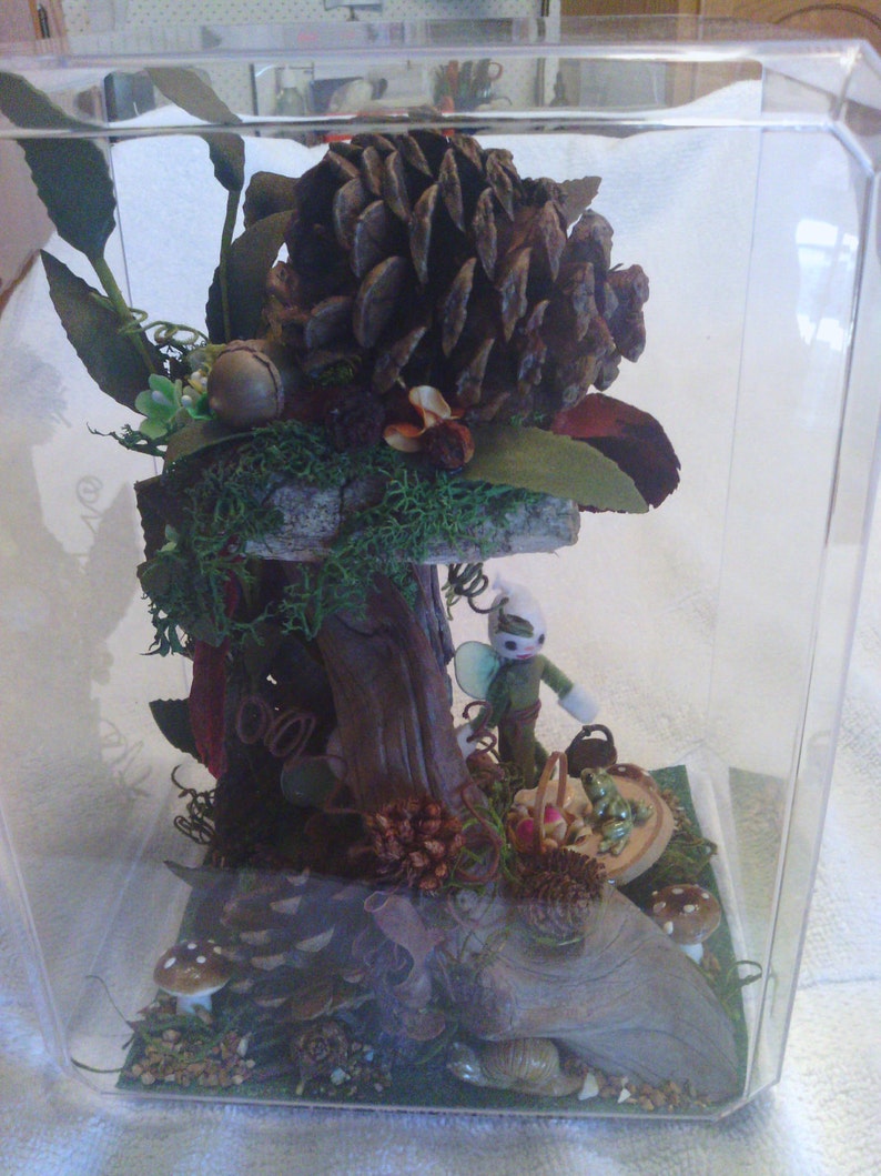 Fairy Garden Woodland Home immagine 5